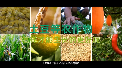 四川爱隆植物营养科技有限公司照片